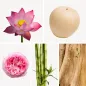 Preview: Duftnoten: Lotusblume, Nashi-Birne, Pfingsrose, Bambus, Sandelholz